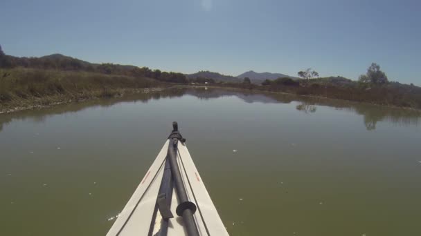 Paleando Gallinas Creek California — Vídeo de stock