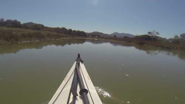 Paleando Gallinas Creek California — Vídeo de stock