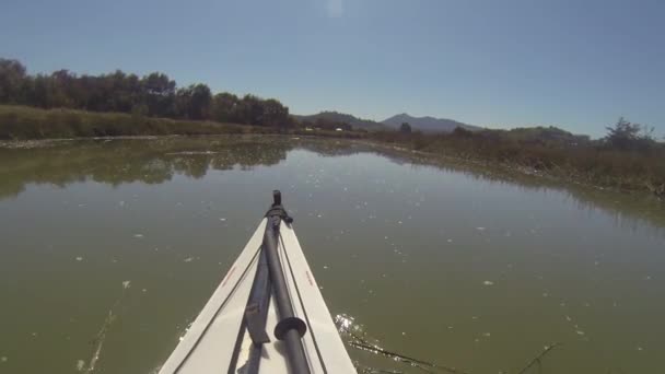 Paleando Gallinas Creek California — Vídeos de Stock