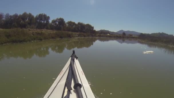 Paddling Gallinas Creek California — Video