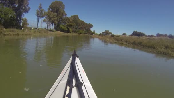 Kayak Gallinas Creek Califonira — Vídeo de stock