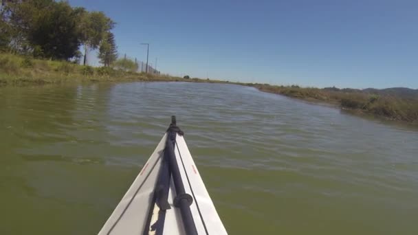 Kayak Gallinas Creek Califonira — Vídeos de Stock