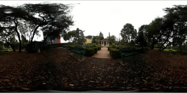 360 Vídeo Parque Central Califórnia — Vídeo de Stock