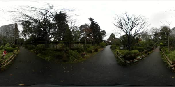 Parque Central Jardines Japoneses San Mateo California — Vídeo de stock