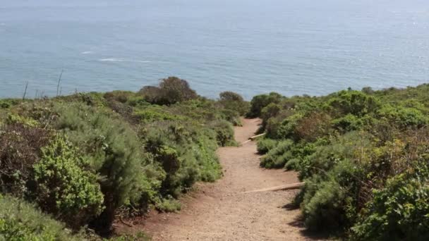 Marin Headlands Califórnia — Vídeo de Stock