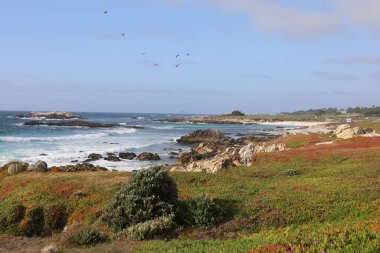Plaj ve gökyüzü 17 mil sonra Pebble Beach, Monterey, California 'da.