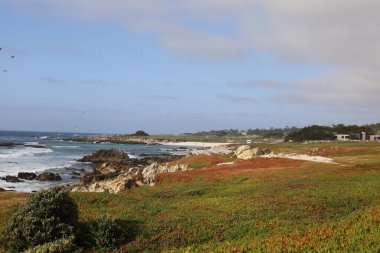 Plaj ve gökyüzü 17 mil sonra Pebble Beach, Monterey, California 'da.
