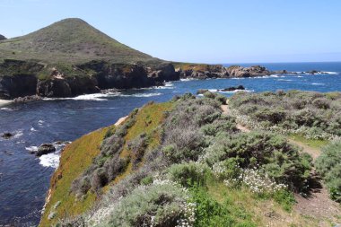 Kaliforniya 'daki Garrapata Eyalet Parkı. Okyanuslar, kumsallar ve dalgalar