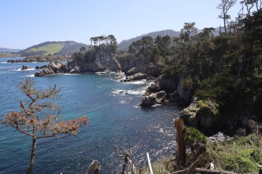 Kaliforniya 'daki Point Lobos Eyalet Parkı' nda kayalar, plajlar ve gökyüzü.