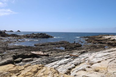Kaliforniya 'daki Point Lobos Eyalet Parkı' nda kayalar, plajlar ve gökyüzü.