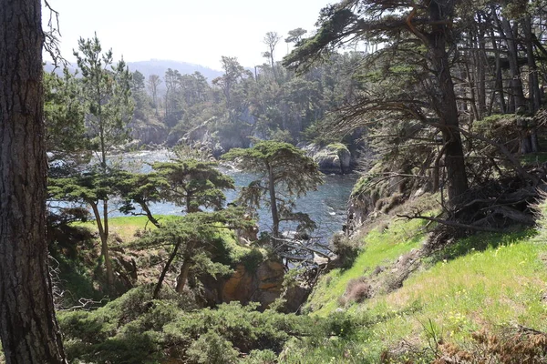 Rotsen Stranden Lucht Point Lobos State Park Californië — Stockfoto