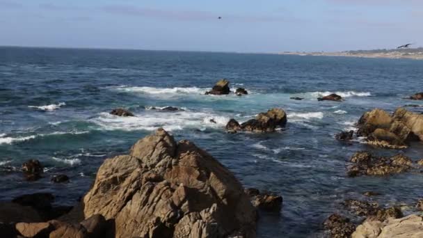 Mile Drive Monterey — Vídeo de Stock