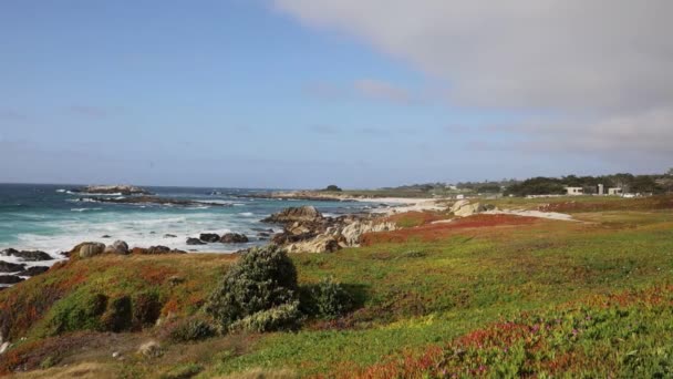 Mile Drive Monterey — Stock video