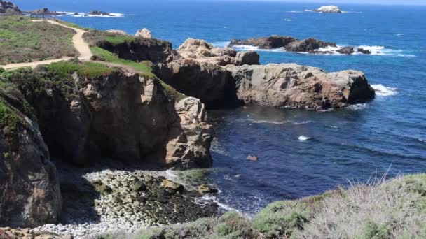 Point Lobos State Park Coast Beaches — Stok video