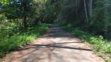 Bisikletli Marin bisiklet yolu