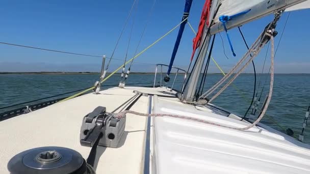 Eigener Redwood Slough Der Bucht Von San Francisco — Stockvideo