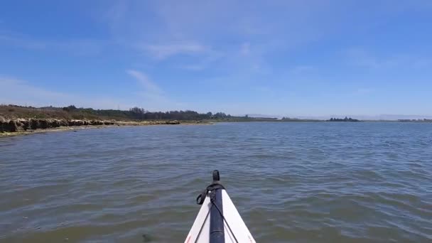 Wiosłując Elkhorn Slough California — Wideo stockowe