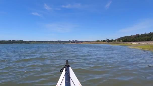 Wiosłując Elkhorn Slough California — Wideo stockowe