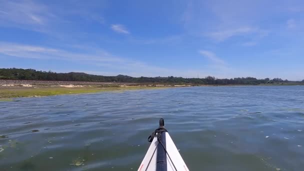 Peddelen Elkhorn Slough Californië — Stockvideo