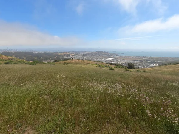 View of San Francisco Bay area from San Bruno mountain