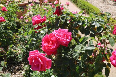 5 / 10 / 2021: Woodside, California: Filoli 'deki bahçe ve binaların manzarası