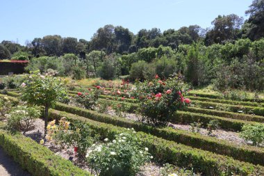 5 / 10 / 2021: Woodside, California: Filoli 'deki bahçe ve binaların manzarası