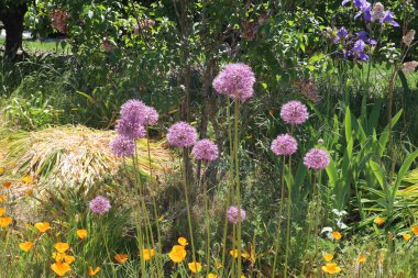 5 / 10 / 2021: Woodside, California: Filoli 'deki bahçe ve binaların manzarası