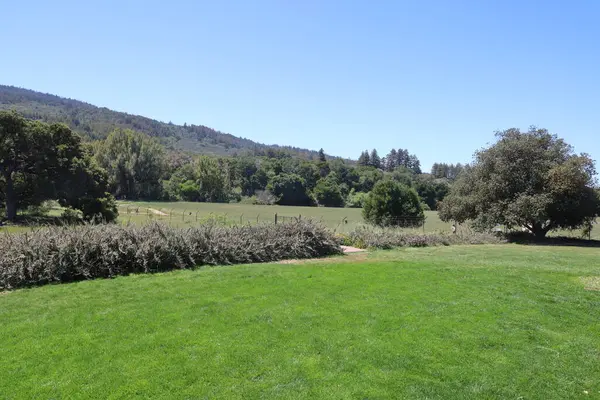 2021 Woodside California Filoli Deki Bahçe Binaların Manzarası — Stok fotoğraf