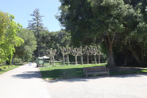2021 Woodside California Filoli Deki Bahçe Binaların Manzarası — Stok fotoğraf