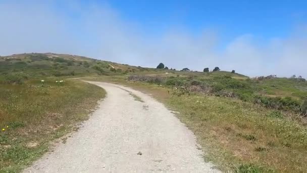 Fietskruis Marin Trail — Stockvideo