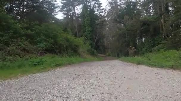 Fietskruis Marin Trail — Stockvideo