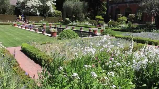 Filoli Estate Wood Side California Çiçekler Bahçeler — Stok video