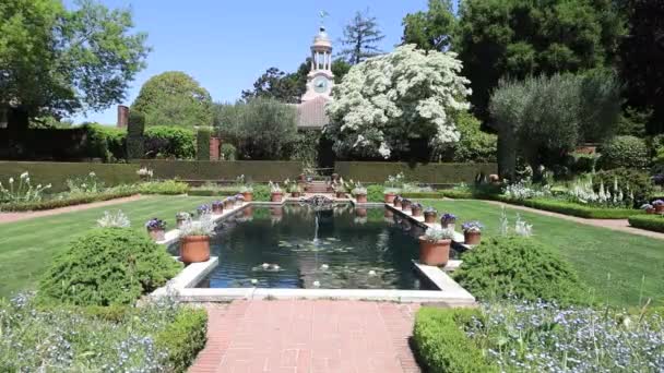Filoli Estate Wood Side California Çiçekler Bahçeler — Stok video