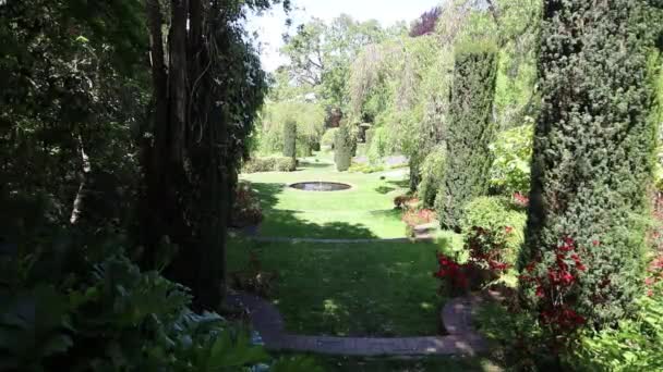 Flores Jardins Filoli Estate Wood Side California — Vídeo de Stock