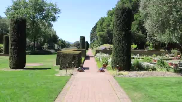 Flores Jardins Filoli Estate Wood Side California — Vídeo de Stock