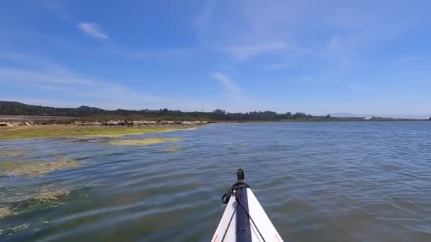 Kajakken Elkhorn Slough Californië — Stockvideo