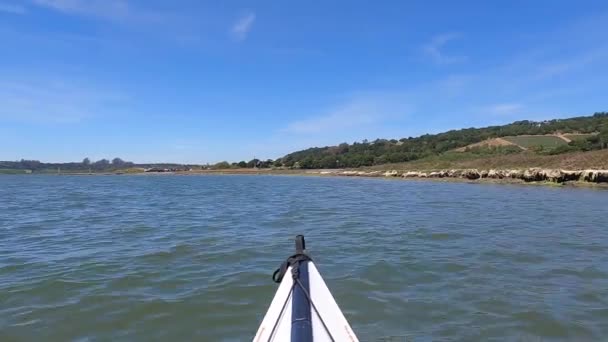 Kajak Elkhorn Slough California — Stock video