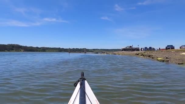 Kajakken Elkhorn Slough Californië — Stockvideo