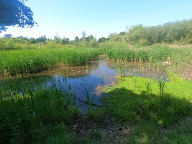 Don Castro dinlenme alanında doğa yürüyüşü