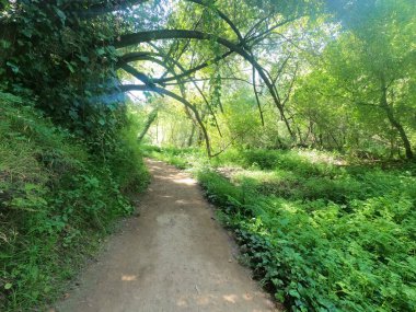 Don Castro dinlenme alanında doğa yürüyüşü