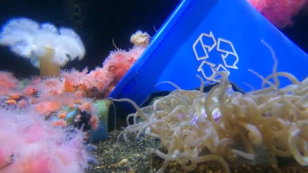 Photos Trash Underwater — Stock Video