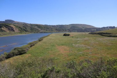 Rus Nehri ve Sahilinde Doğa Fotoğrafları