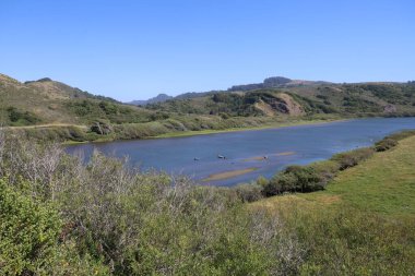 Rus Nehri ve Sahilinde Doğa Fotoğrafları