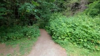 Humboldt Eyaleti, Redwood ve Park