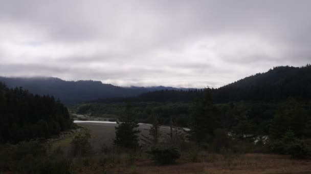 Parque Nacional Redwood Condado Humboldt — Vídeo de stock