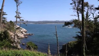 Pont Lobos Eyalet Parkı, California 'da. Plajlar, kayalıklar ve kum