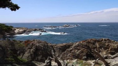 Pont Lobos Eyalet Parkı, California 'da. Plajlar, kayalıklar ve kum