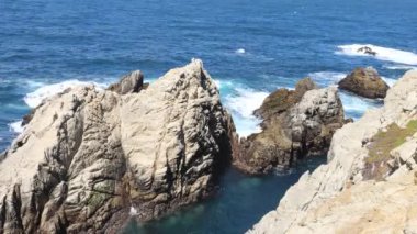 Pont Lobos Eyalet Parkı, California 'da. Plajlar, kayalıklar ve kum