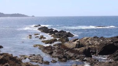 Pont Lobos Eyalet Parkı, California 'da. Plajlar, kayalıklar ve kum