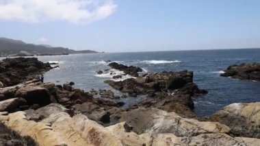 Pont Lobos Eyalet Parkı, California 'da. Plajlar, kayalıklar ve kum